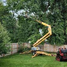Best Tree Preservation Services  in Sparta, TN