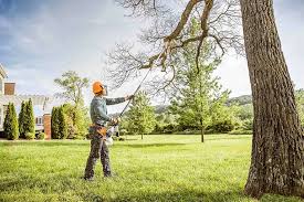 Best Firewood Processing and Delivery  in Sparta, TN