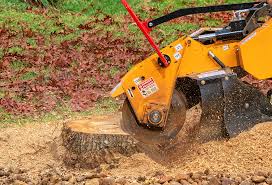 Best Tree Health Inspection  in Sparta, TN