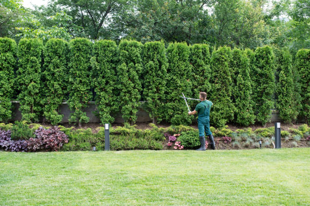 Best Lawn Fertilization  in Sparta, TN